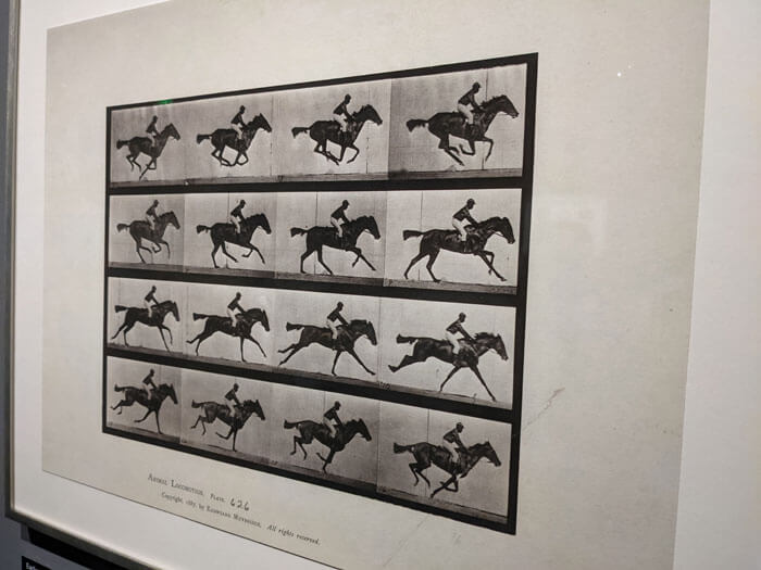 Voyages-Deci-Dela-étude-du-mouvement-animal-cheval-au-galop-Exposition-Georges-Melies-cinemathe-française-Paris