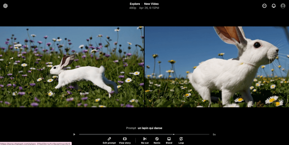 12-Sora 2 - test animation video-lapin qui danse